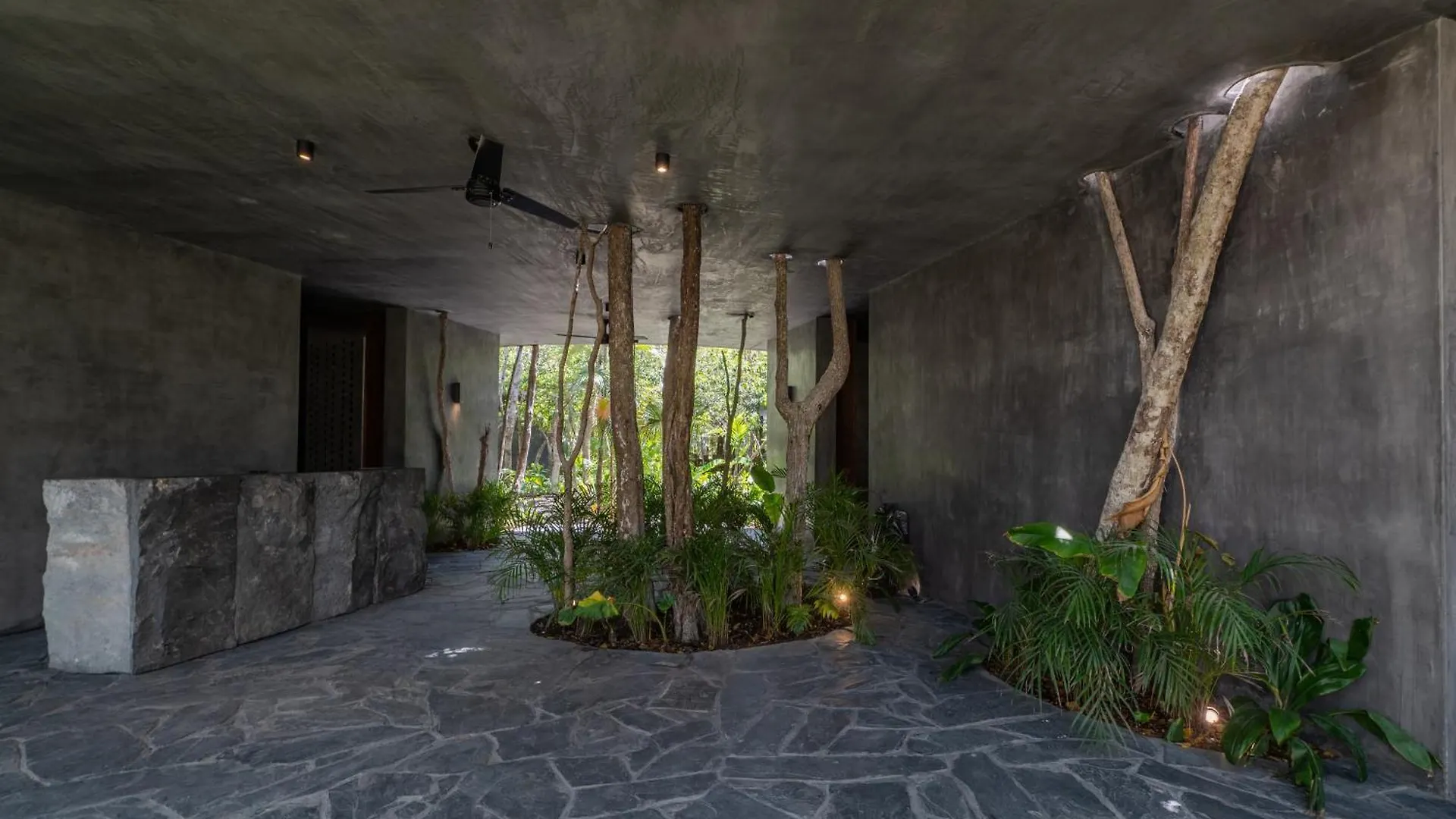 4Br Stunning Condo In Tulums Heart By Solmar Rentals Messico